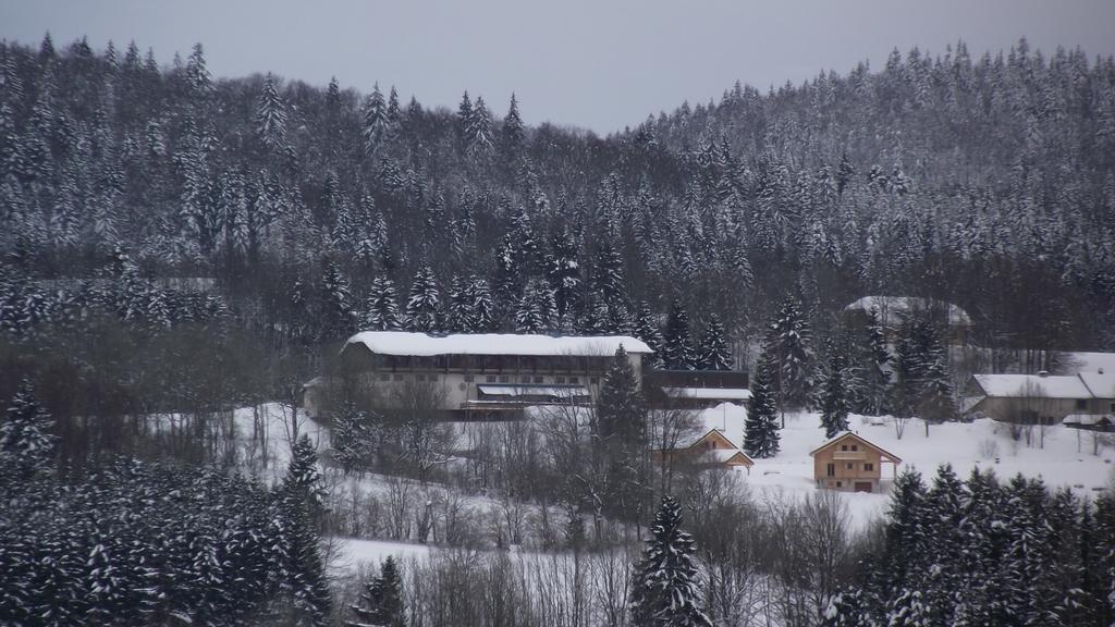 Foncine-le-Haut Hotel Le Grand Chalet المظهر الخارجي الصورة