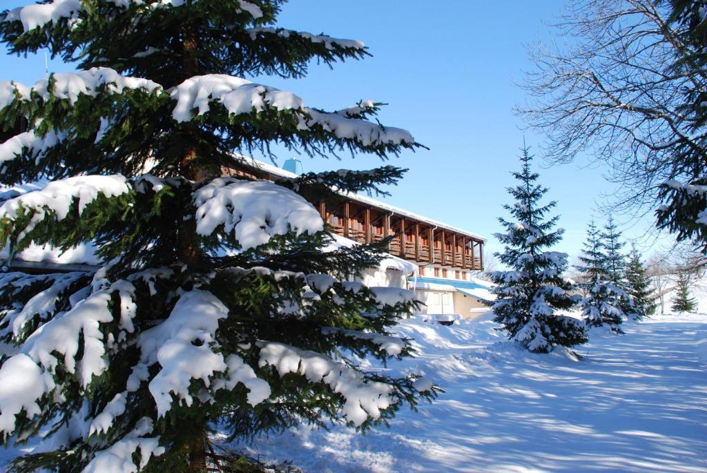 Foncine-le-Haut Hotel Le Grand Chalet المظهر الخارجي الصورة